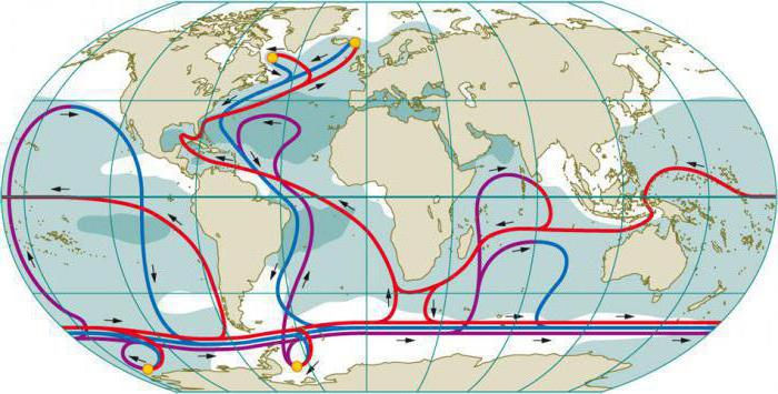 Curentul rece al Oceanului Atlantic este ceea ce? Descrierea curenților reci din Atlantic