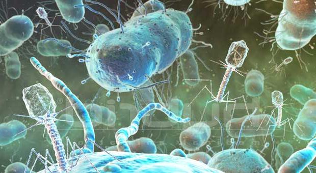 Bacteriofagii sunt ... sau Câteva cuvinte despre virologie