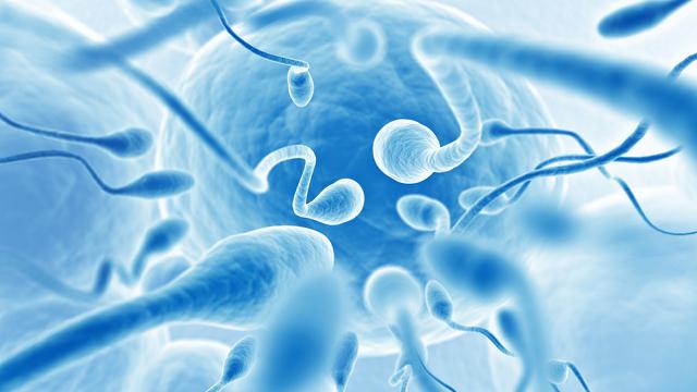 Ce ar trebui să fie sperma și care sunt factorii care îi afectează negativ